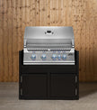 Napoleon 700 Series 32 with BBQ Cabinet